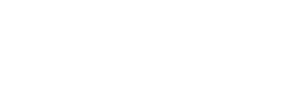 Anysys Logo